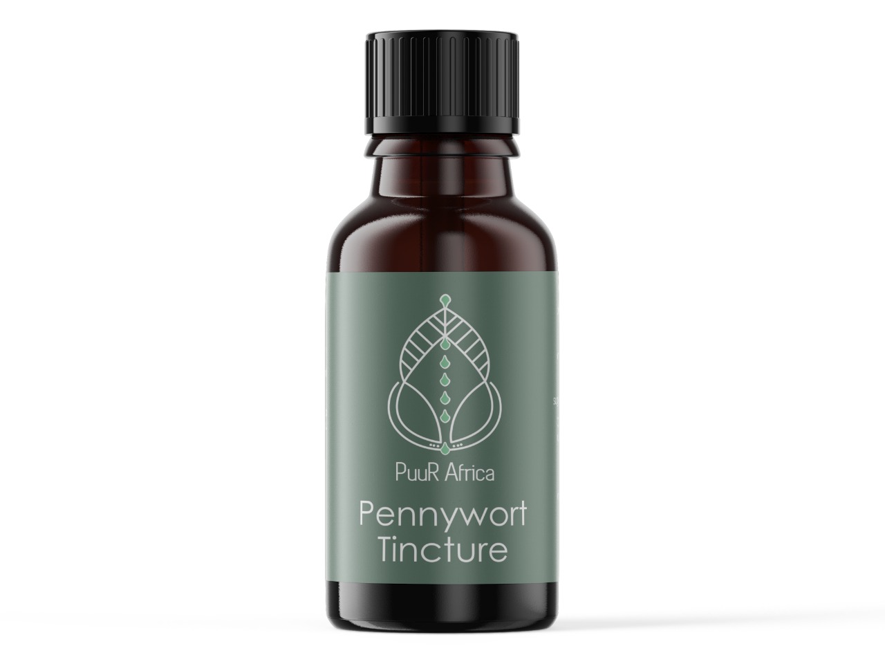 Pennywort Tincutre